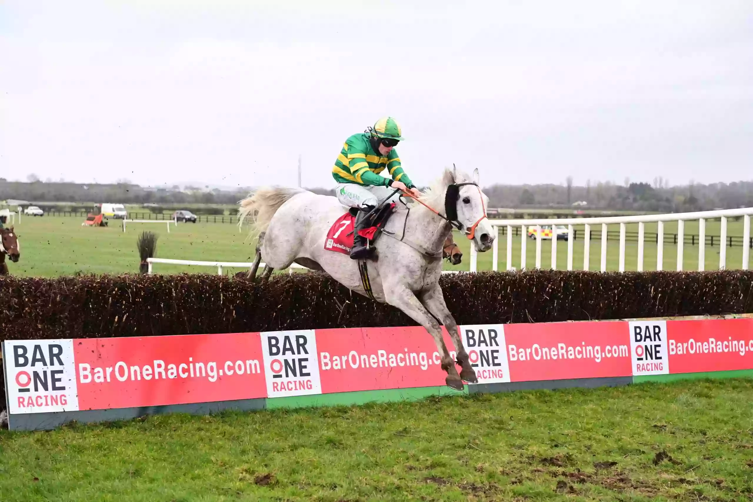 Naas Racecourse