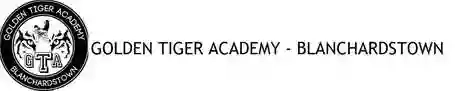 Golden Tiger Academy - Blanchardstown