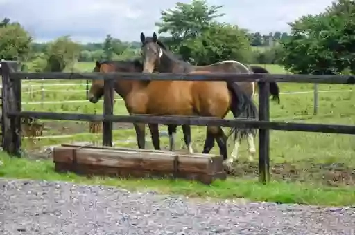 Sunnyside Stables