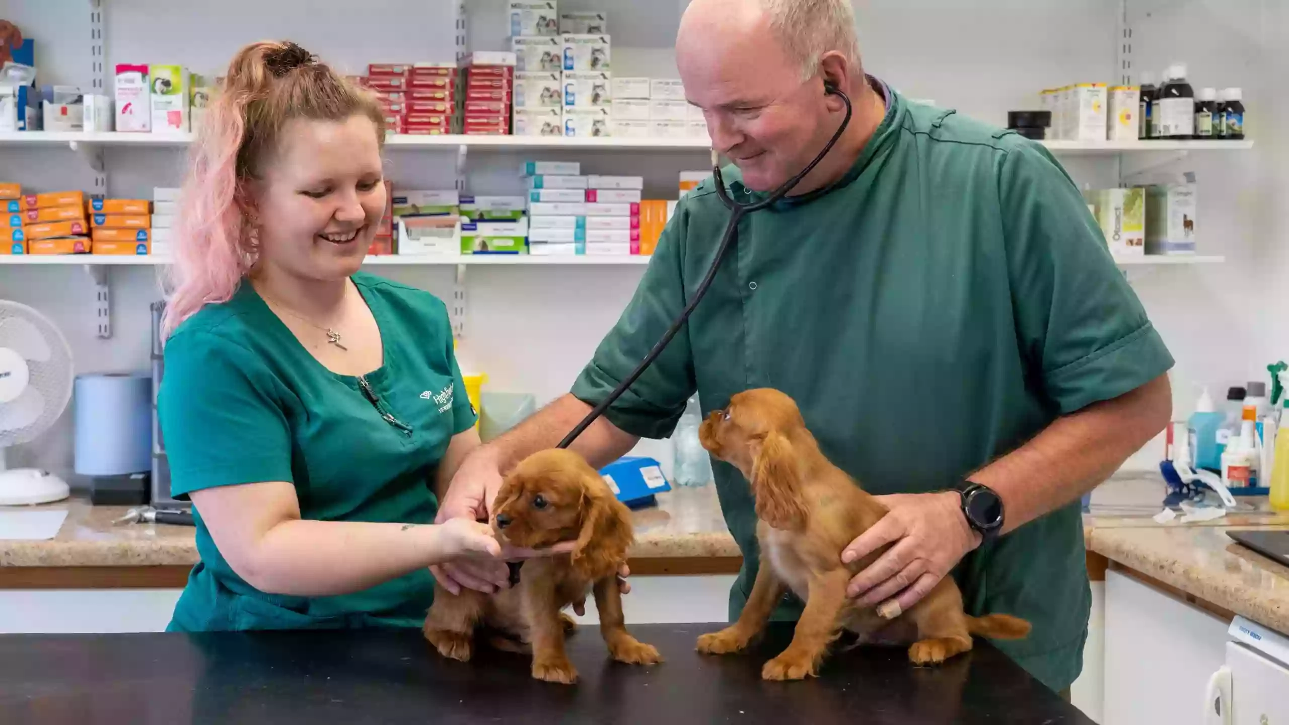 Highfield Veterinary Blessington