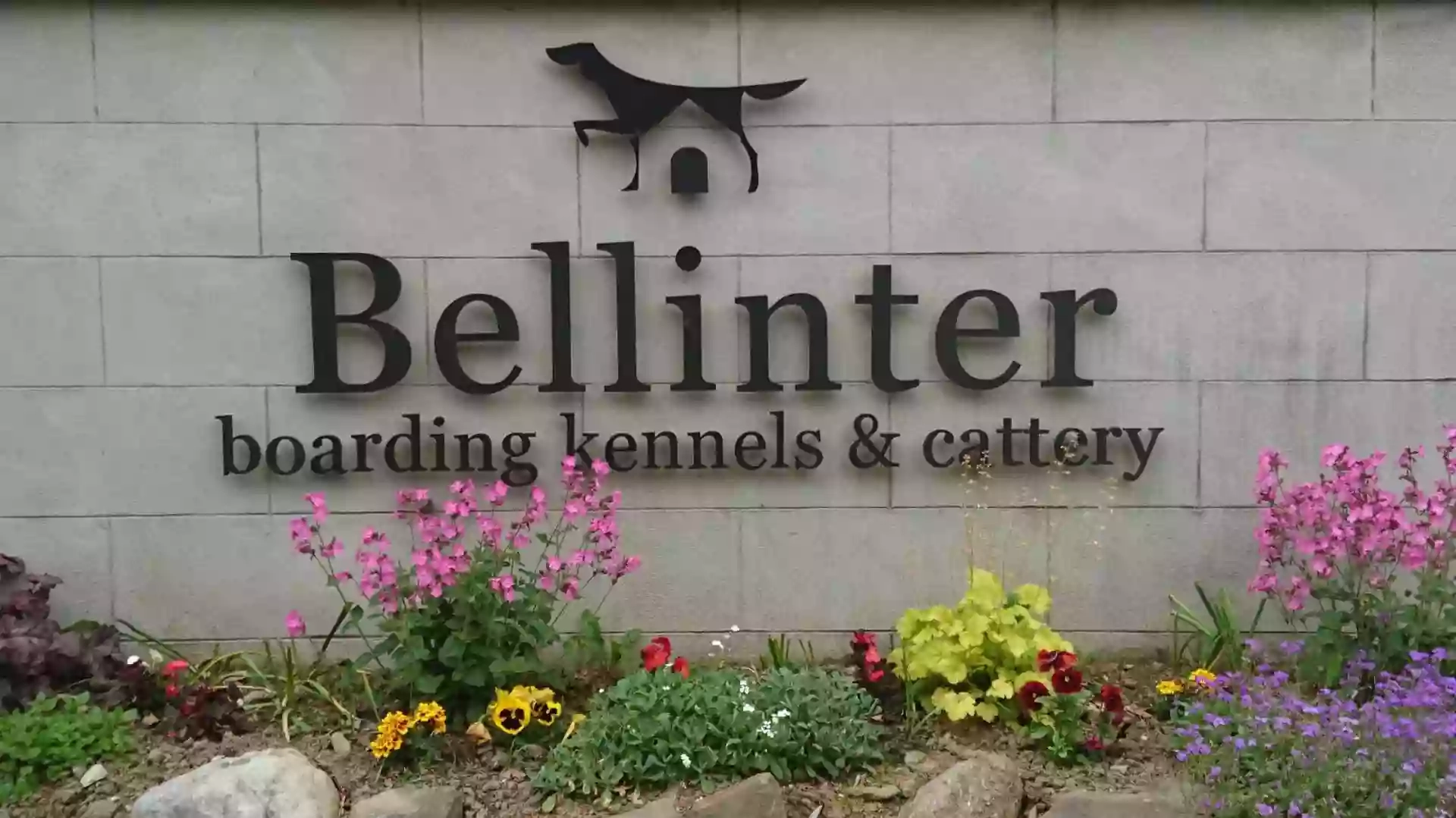 Bellinter Boarding Kennels & Cattery