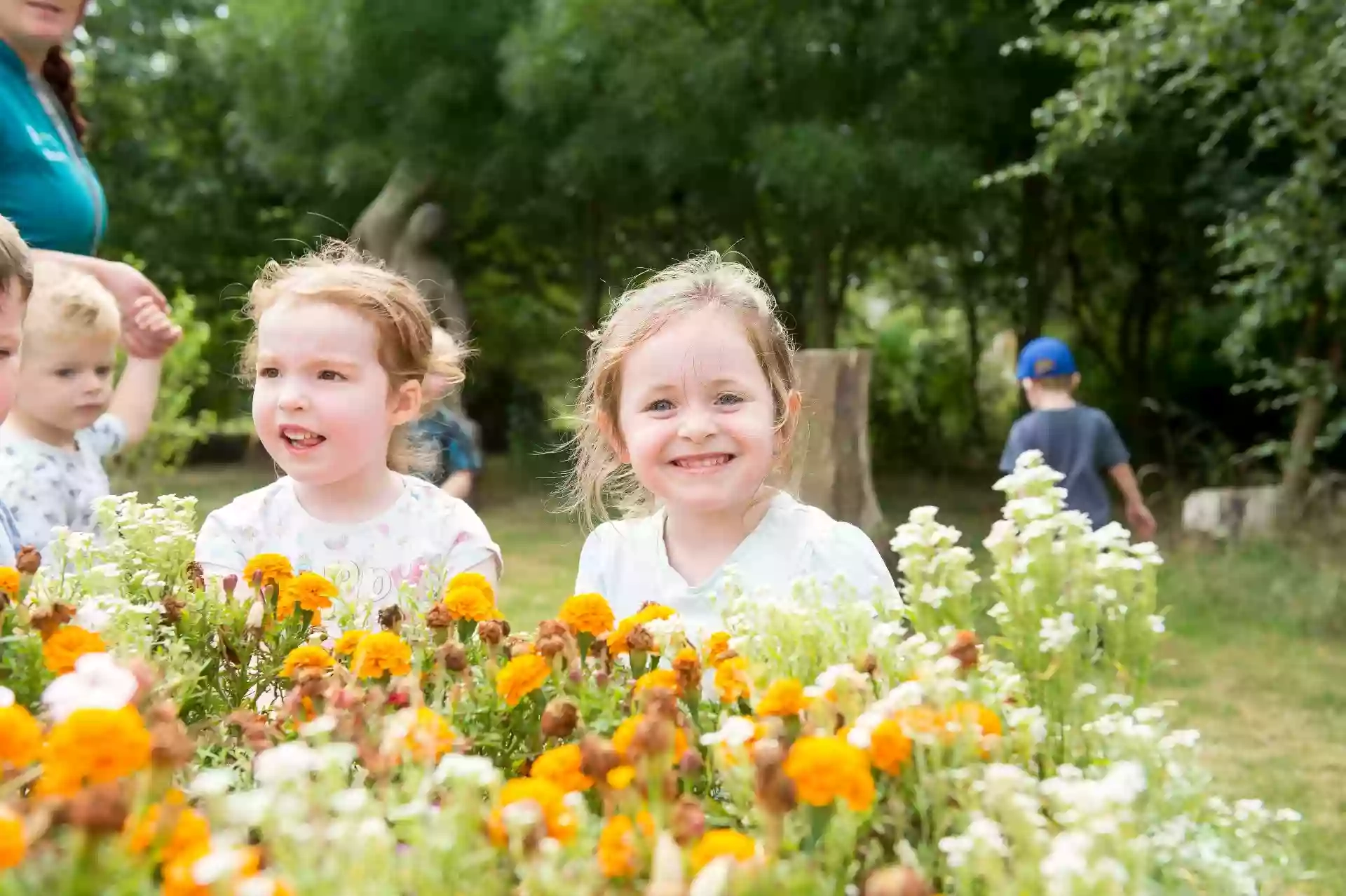 Little Owls Day Nursery @ Dove House