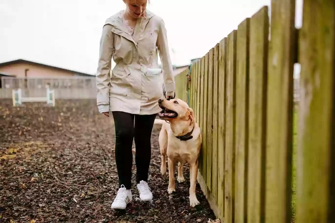 Bishop Burton Kennels and Dog Grooming