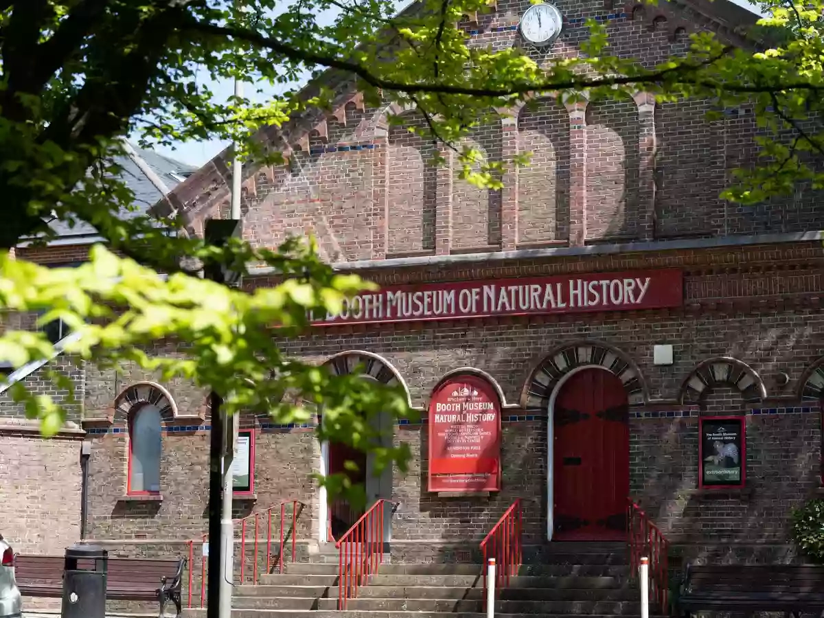 Booth Museum of Natural History