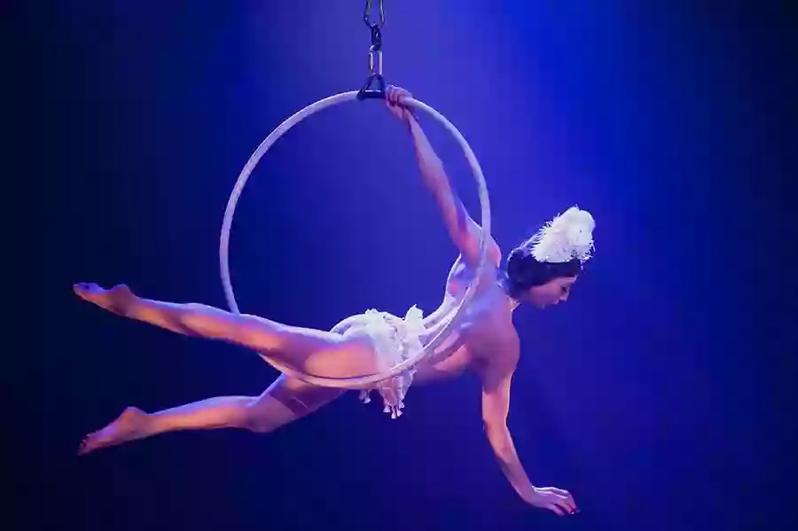 Brighton Aerial Arts