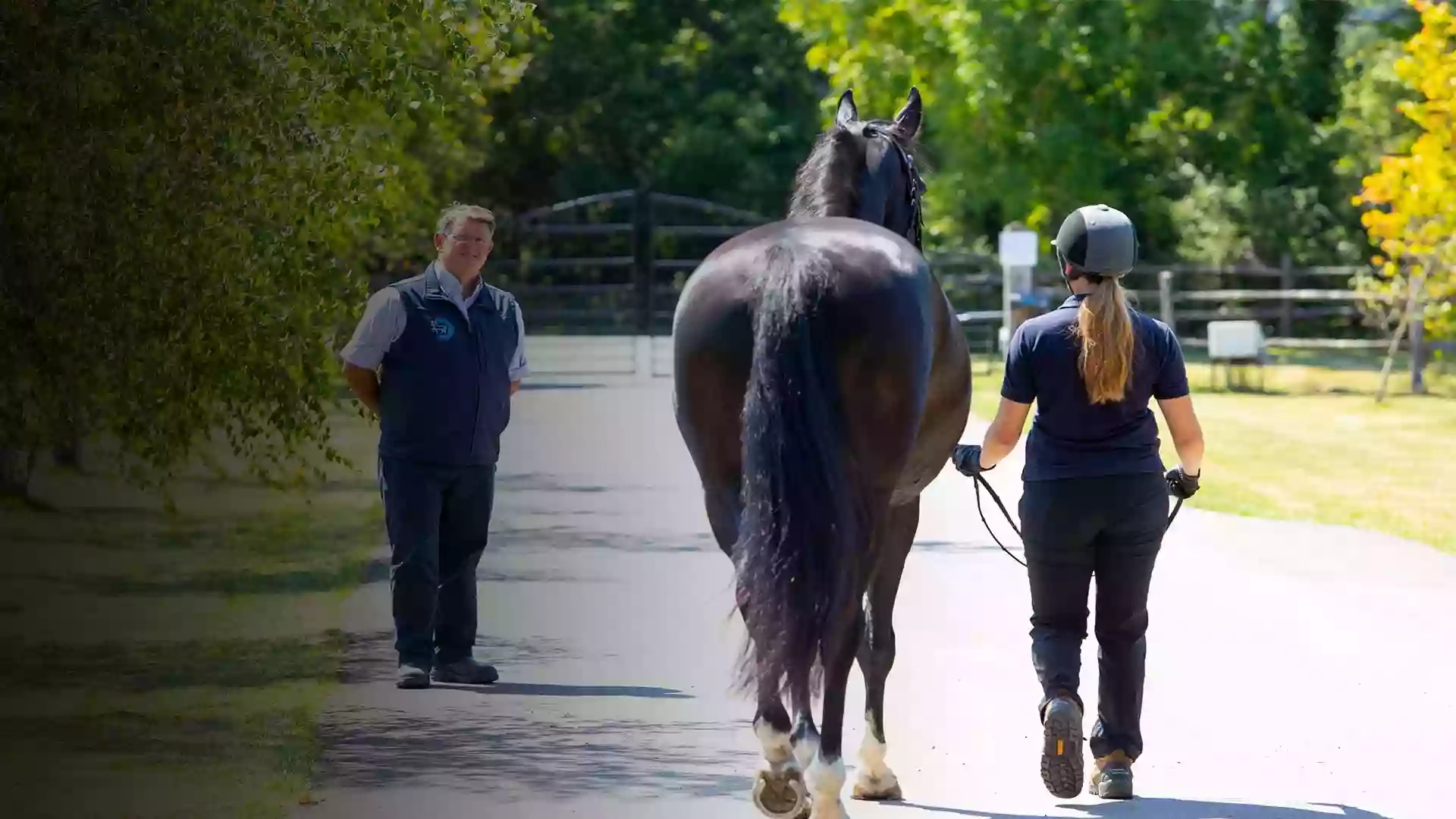 Cliffe Equine Vets