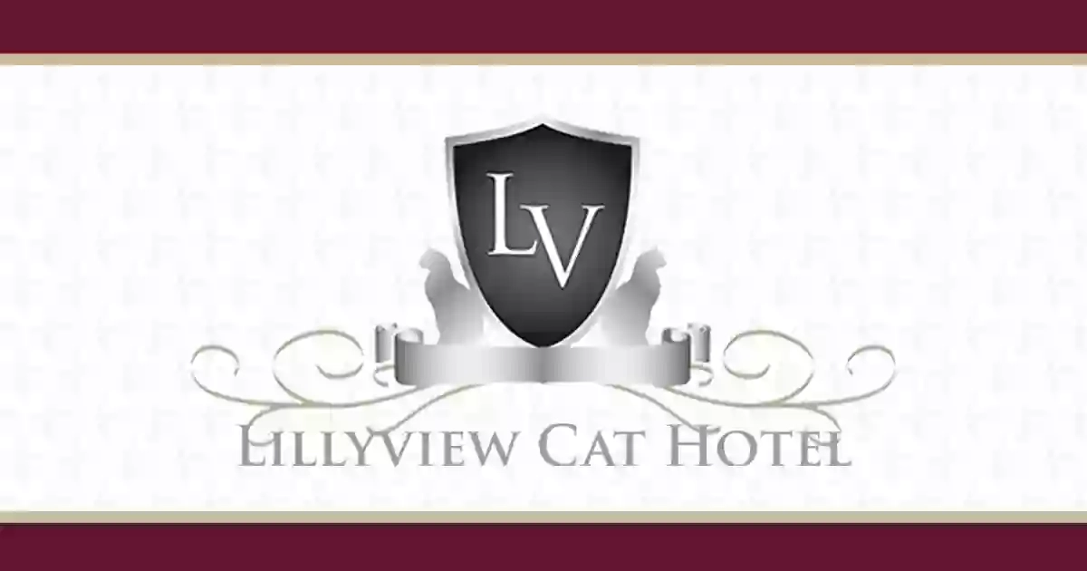 Lillyview Cat Hotel