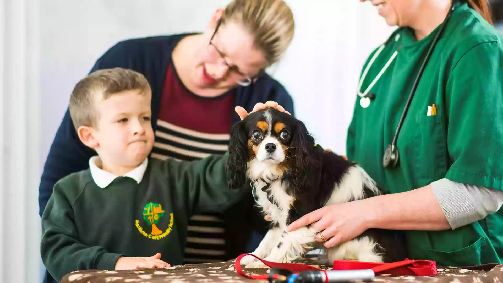 Rhodes Veterinary Surgery