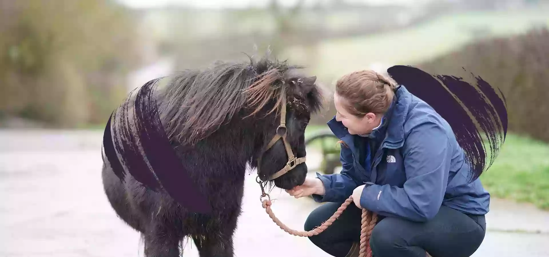 Towcester Equine Vets