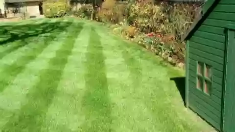 Sim's mowing