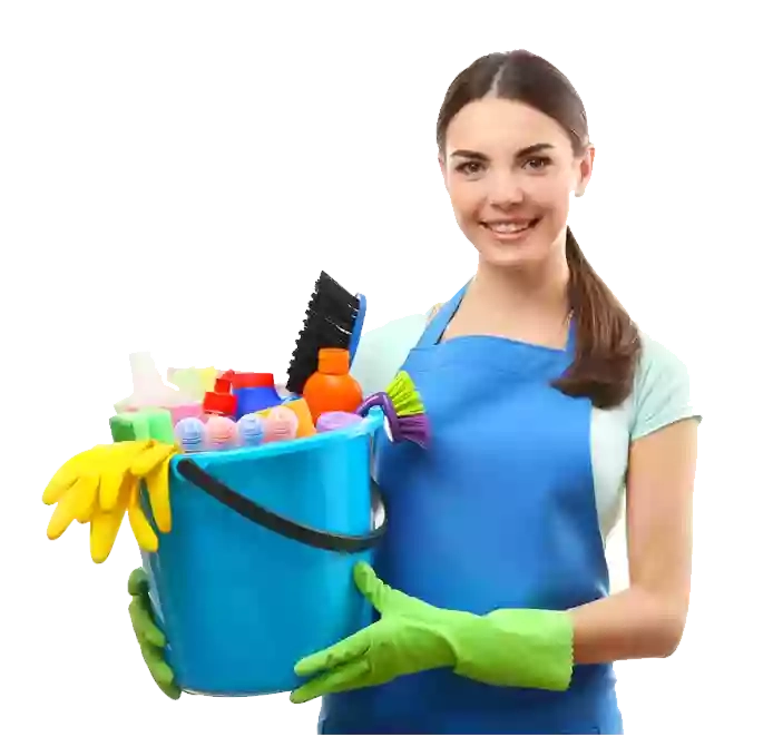 Top Home Cleaning