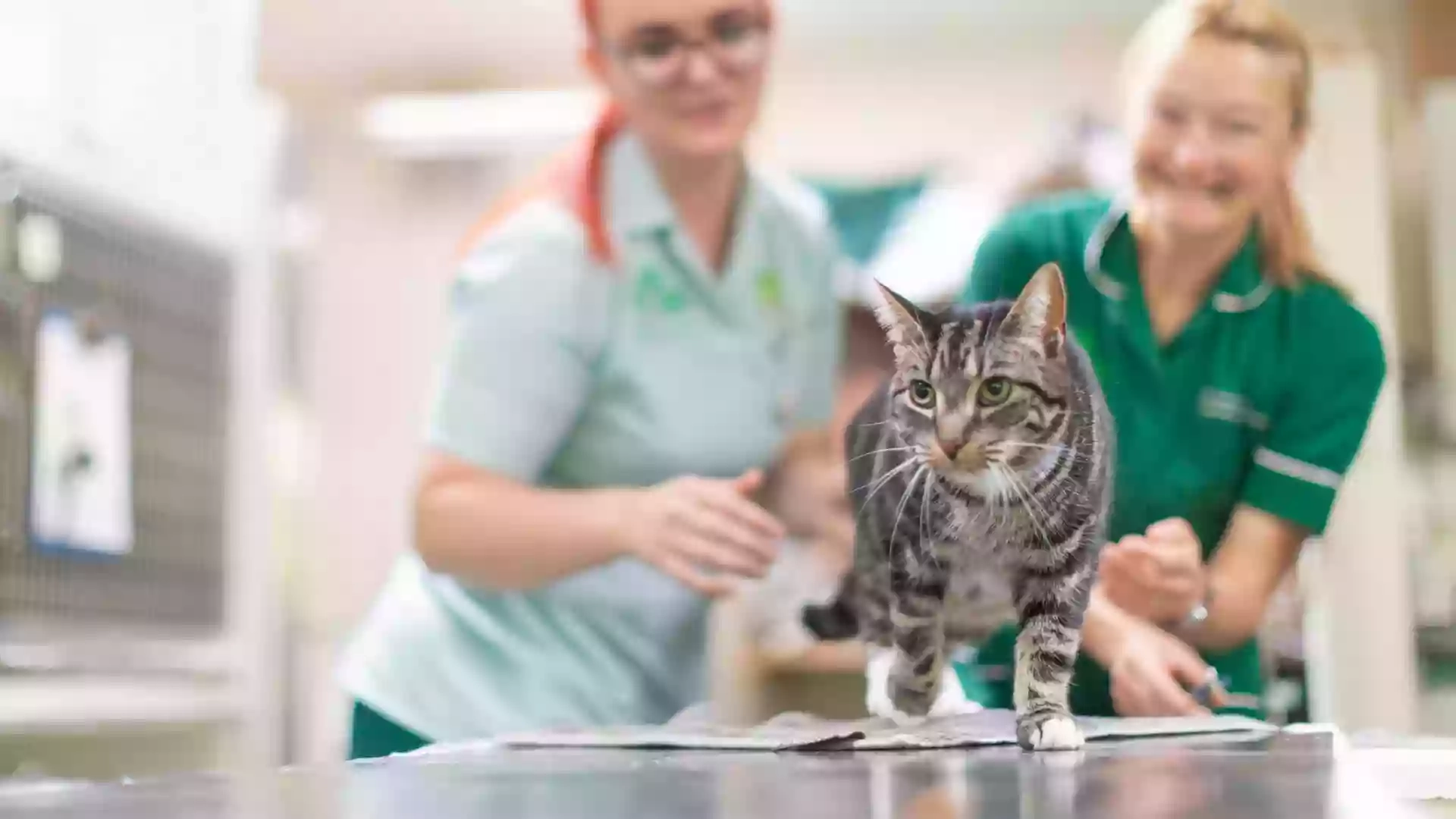 Chapelfield Veterinary Partnership