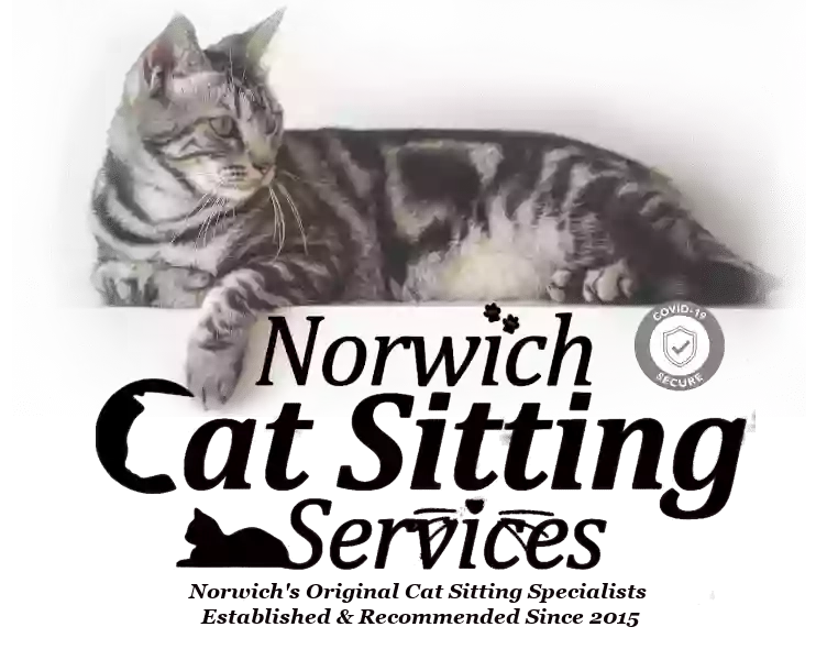 Norwich Cat Sitting Services - Norwich’s original cat sitting specialists