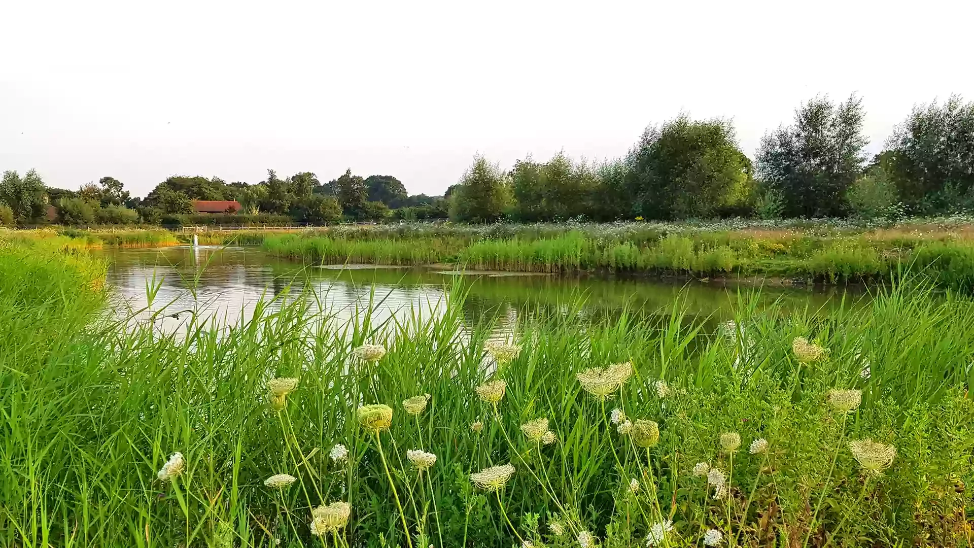 Wensum view cottage