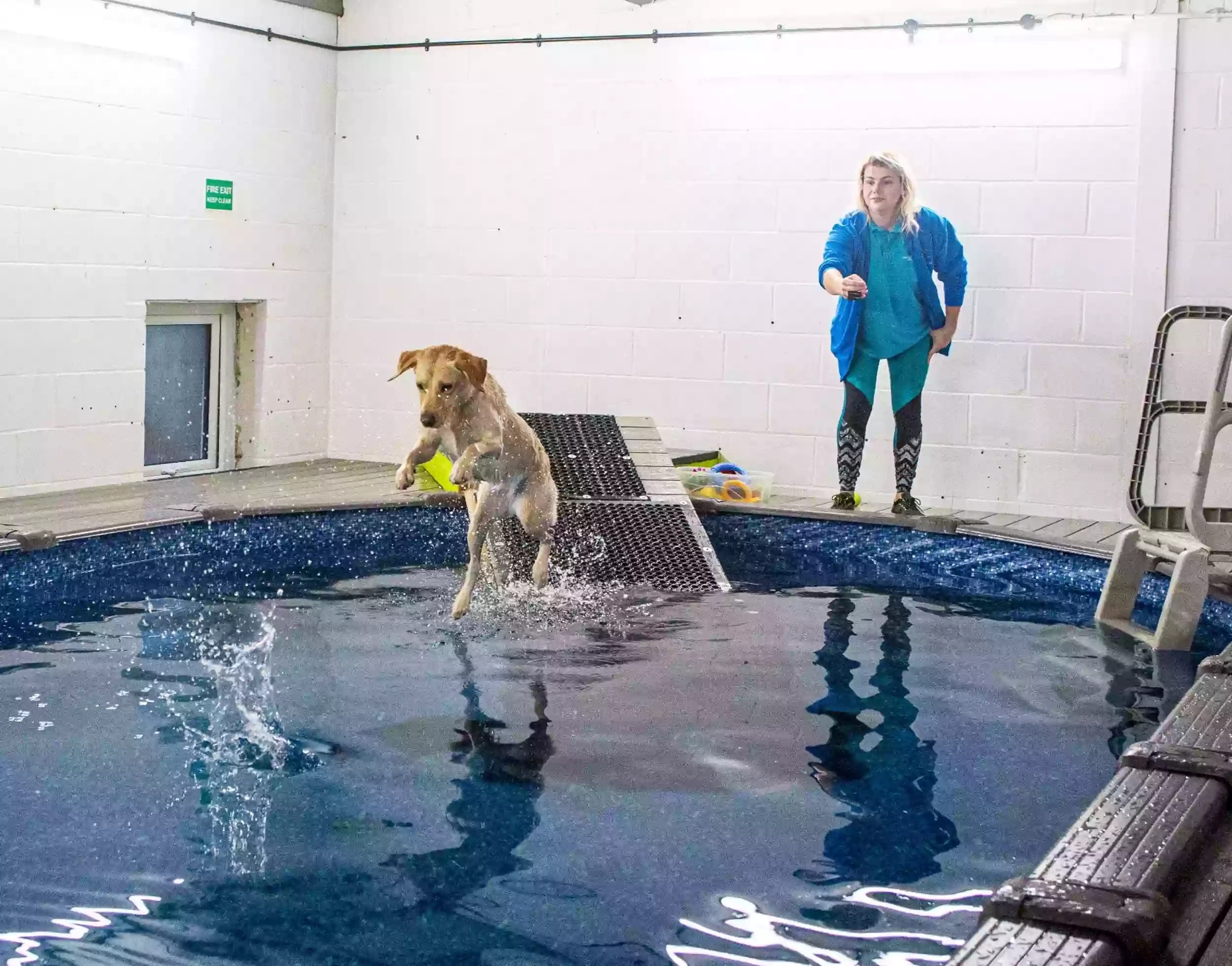 Doggy Paddle Norwich