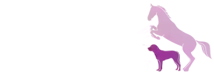 C S Animal Hydro and Physiotherapy