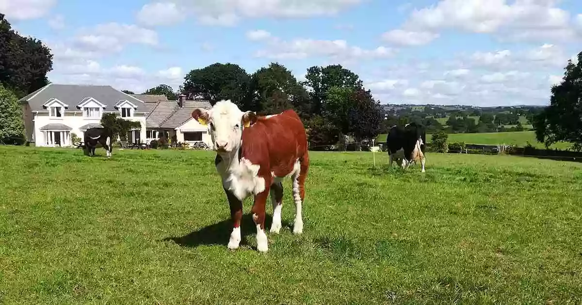 Inveraray Farm