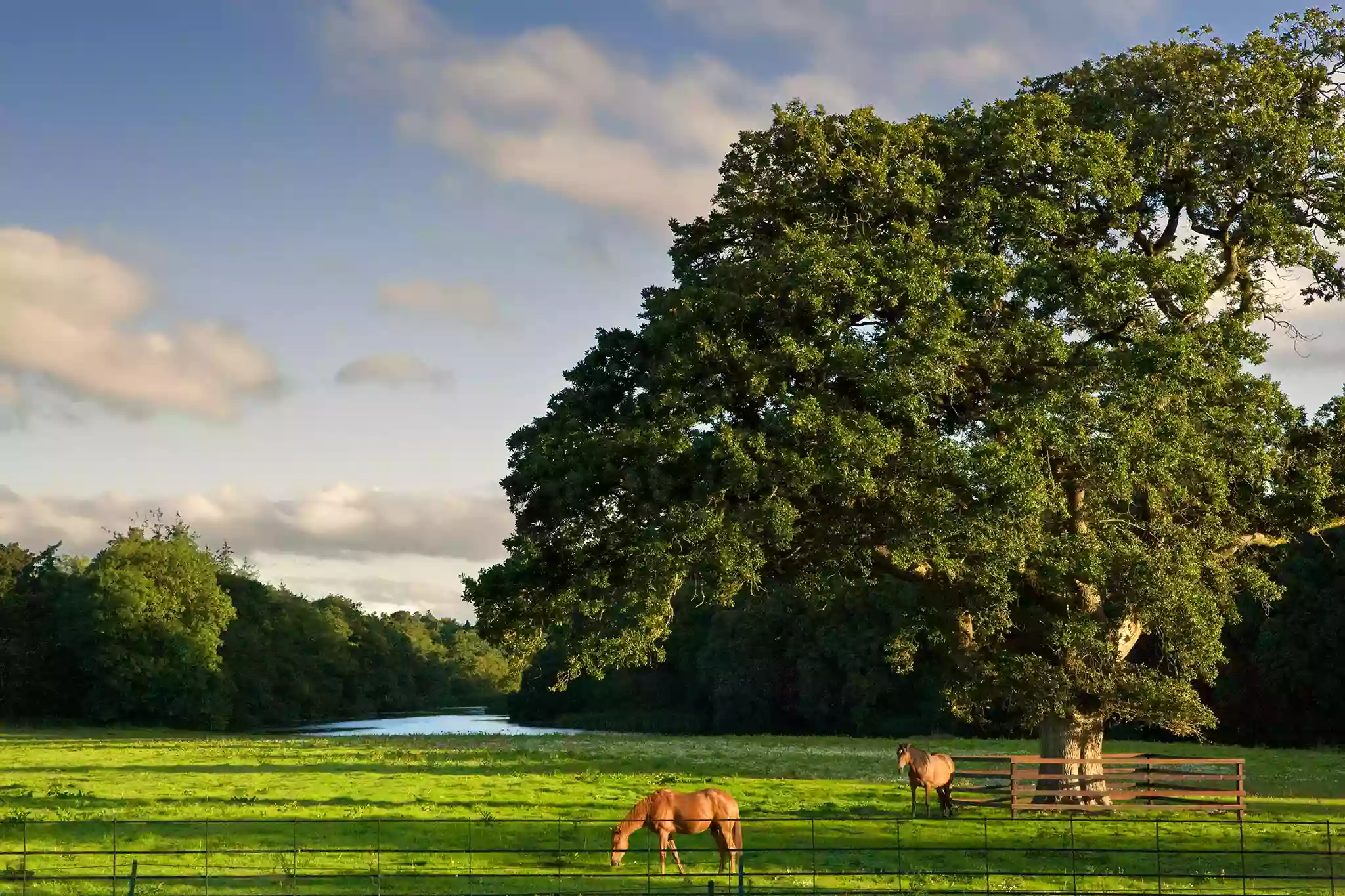 Castlemartyr Resort