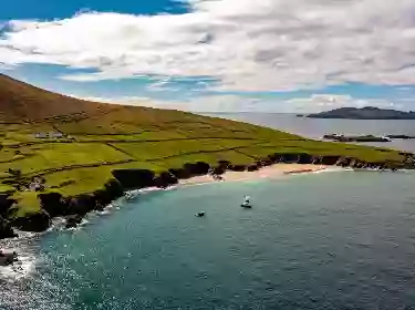 Dingle Dolphin Boat Tours