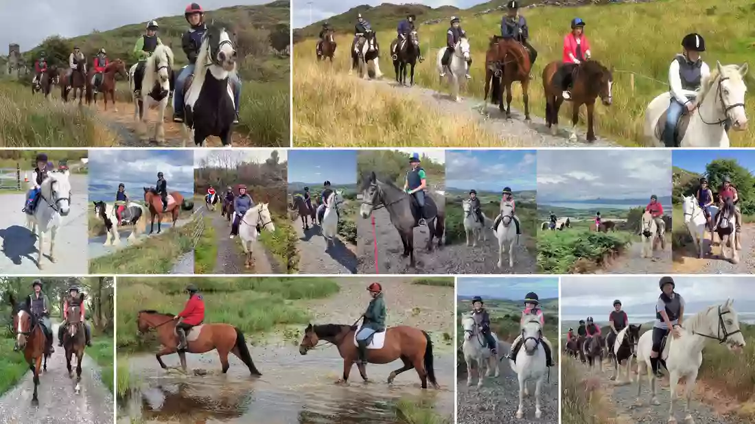 Bantry Bay Pony Trekking