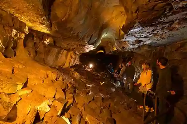 Aillwee Burren Experience