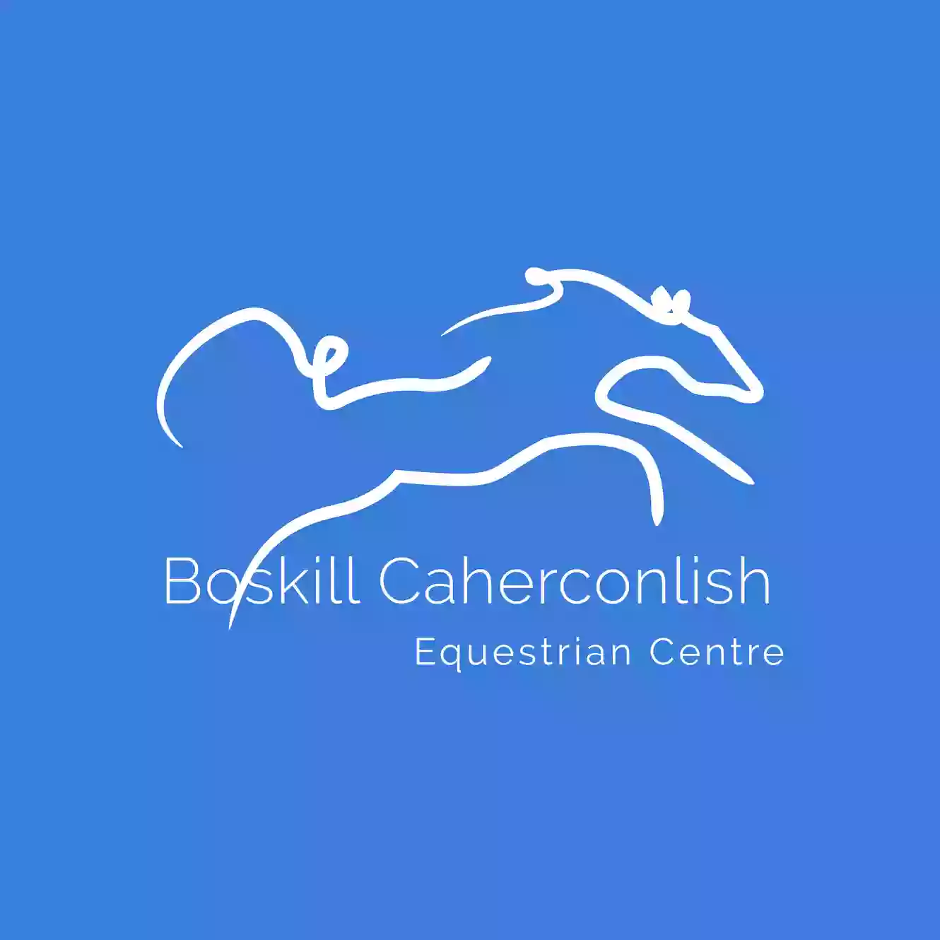 Boskill Equestrian limerick tack shop Trekking centre Homestay co limerick