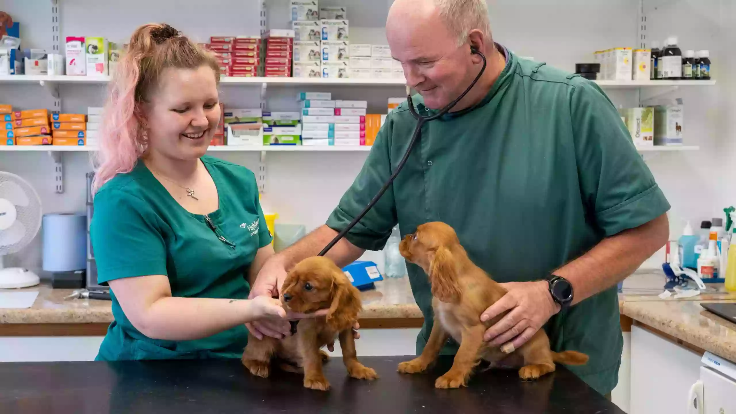 Highfield Veterinary Portlaoise