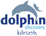 Dolphin Discovery