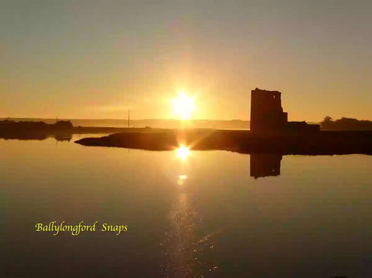 Carrigafoyle Castle