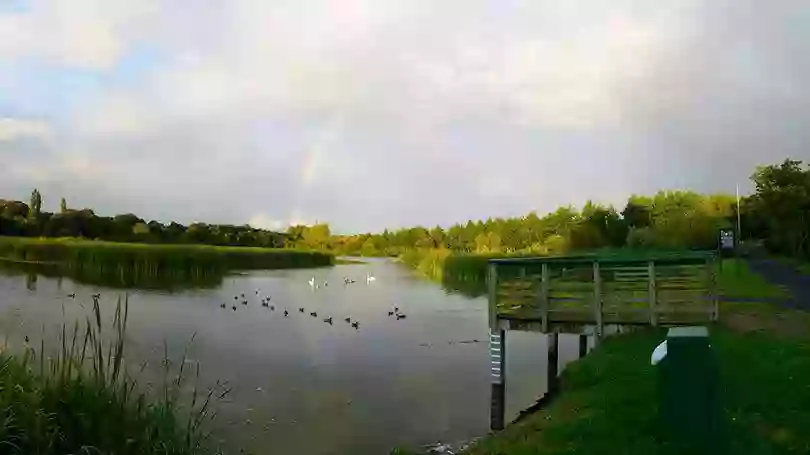 Westfields Wetlands Limerick