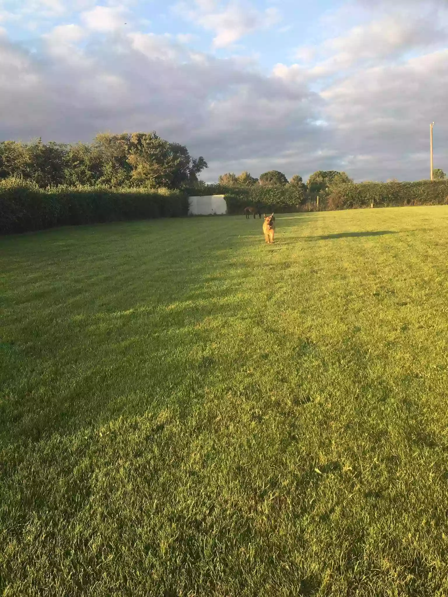 Home Away Boarding Kennels