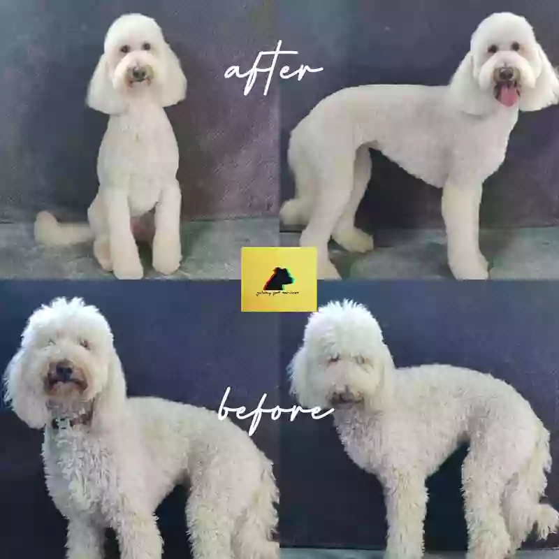 Dog Grooming- Galway Pet Services