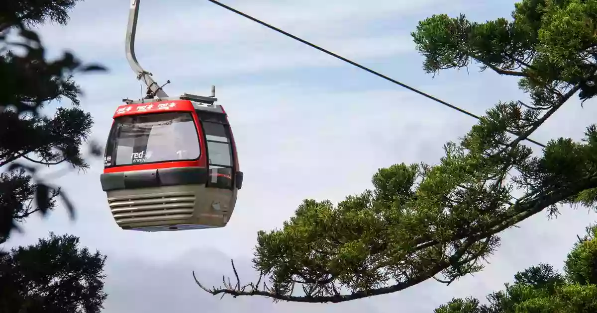 Taronga Zoo Sky Safari