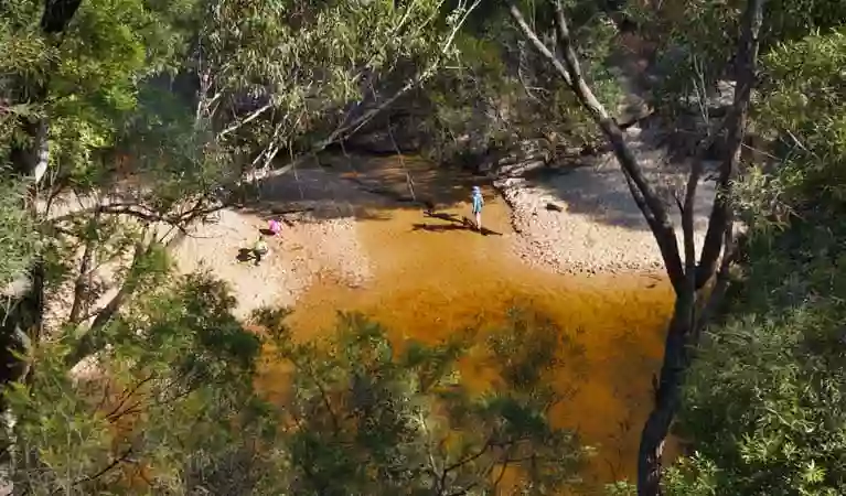 Jellybean Pool