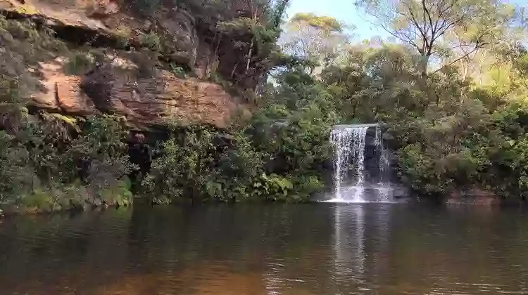 Paradise Pool