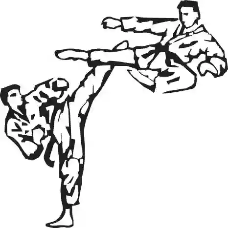 Lion Park's Tae Kwon Do & Self Defence