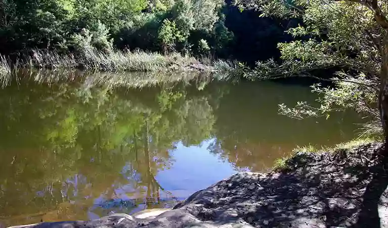 Blue Pool Walking Track