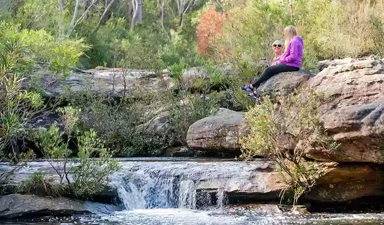 Kingfisher Pool picnic area