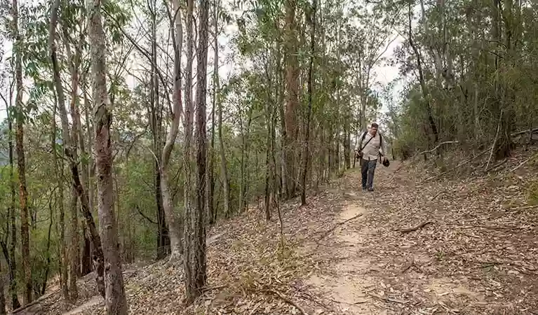 Yango walking track