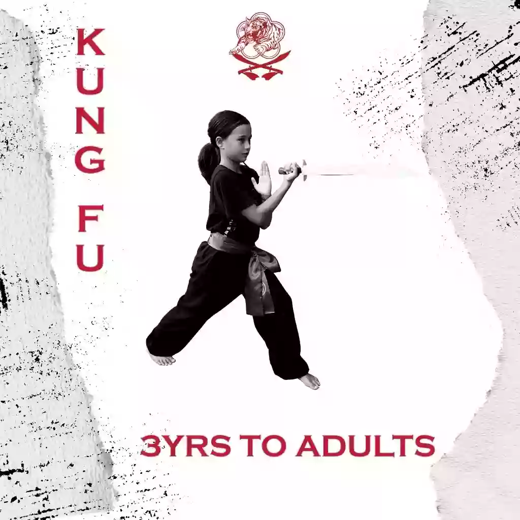 Head Academy Kung Fu Engadine