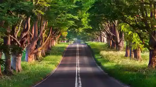 Hornsby Driving School悉尼北区华人驾驶学校