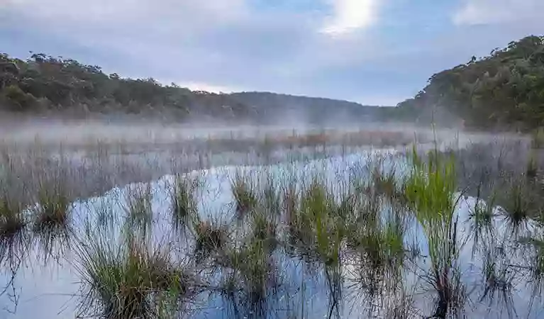 Thirlmere Lakes National Park