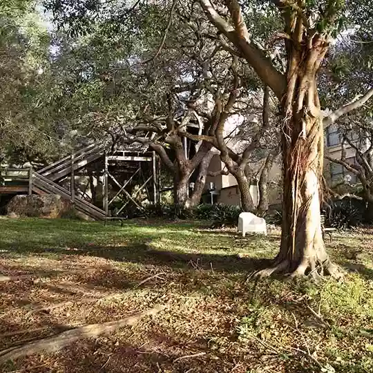 Water Street Reserve