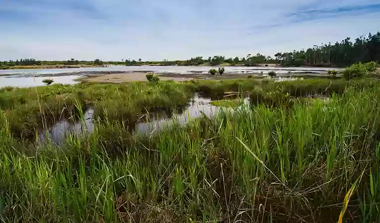 Towra Point Nature Reserve