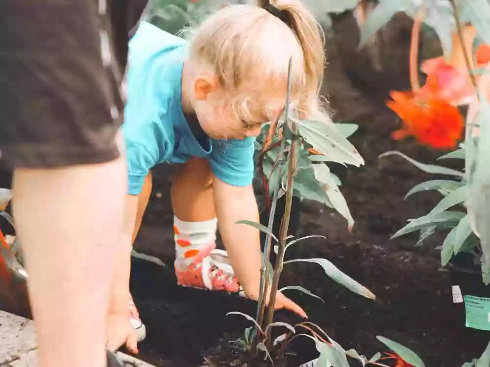 Ballykin Early Learning Centres - Mosman