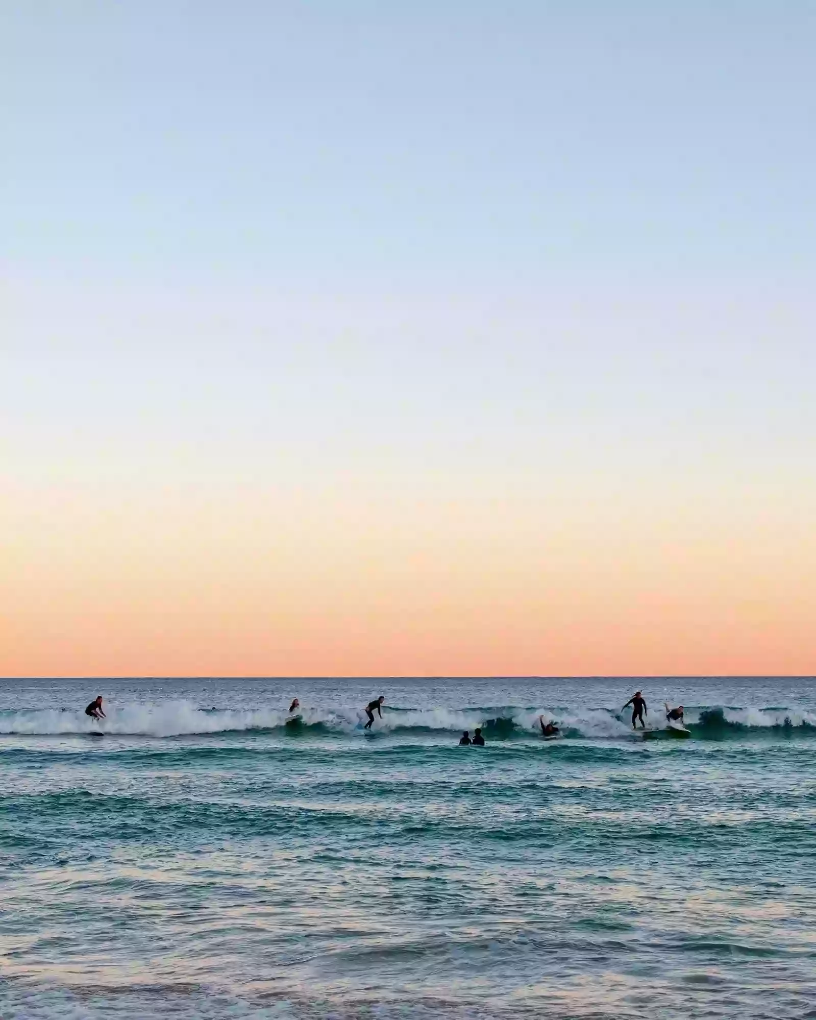 Surfish Bondi Beach