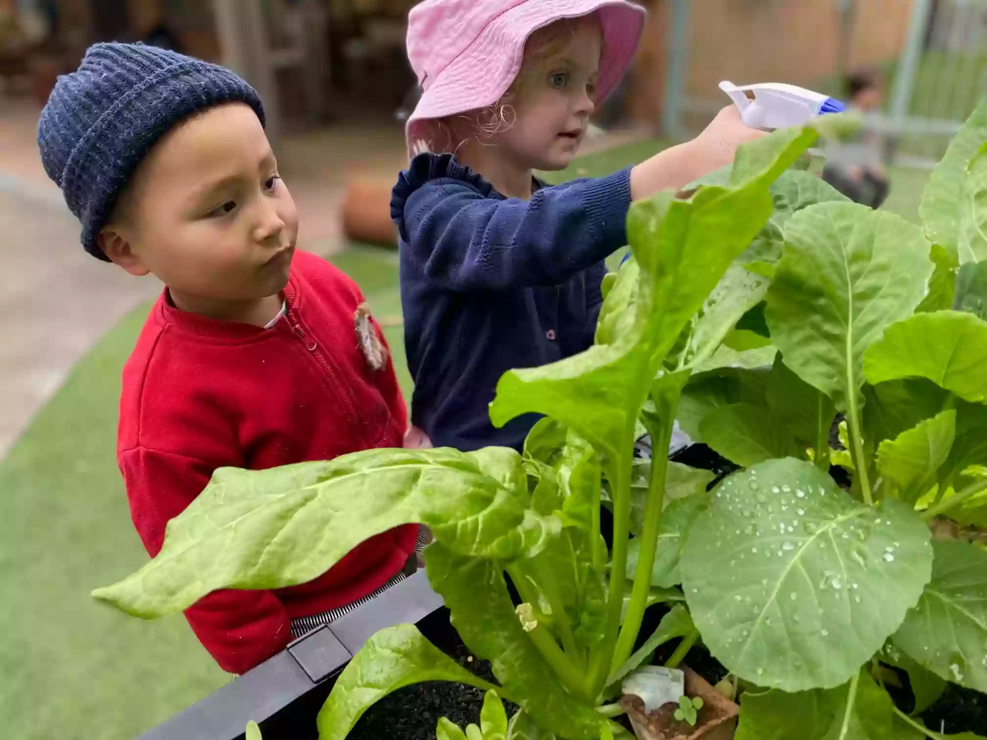 Fauna Place Early Education Centre, Kirrawee