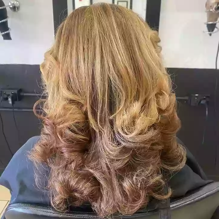 Hair D'Art