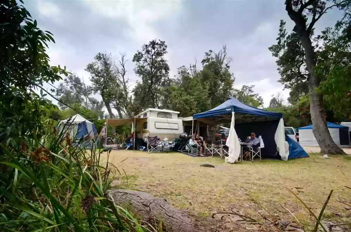 Rosebud Foreshore Camping - Section 11