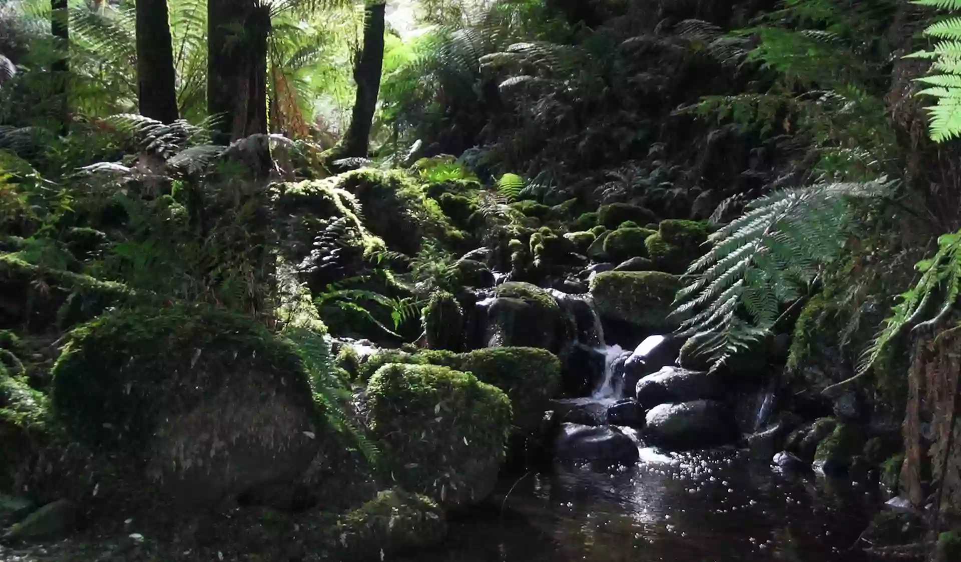 Sherbrooke Falls